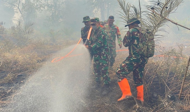 Tim Gabungan Kerahkan Operasi Besar-besaran Padamkan Karhutla 70 Hektare di Bengkalis