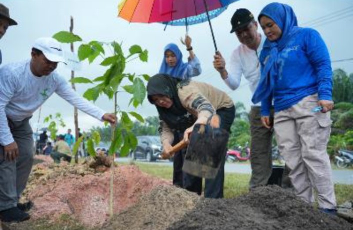 Afni Ajak Warga Rawat Pohon, 5.050 Bibit Ditanam di Jalur Mempura-Dayun