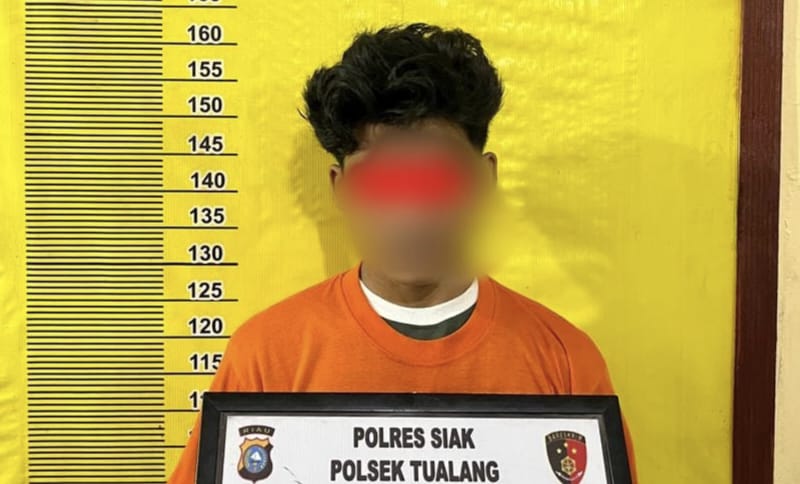 Diduga Cabuli Anak Dibawah Umur, Pria di Perawang Diringkus Polisi
