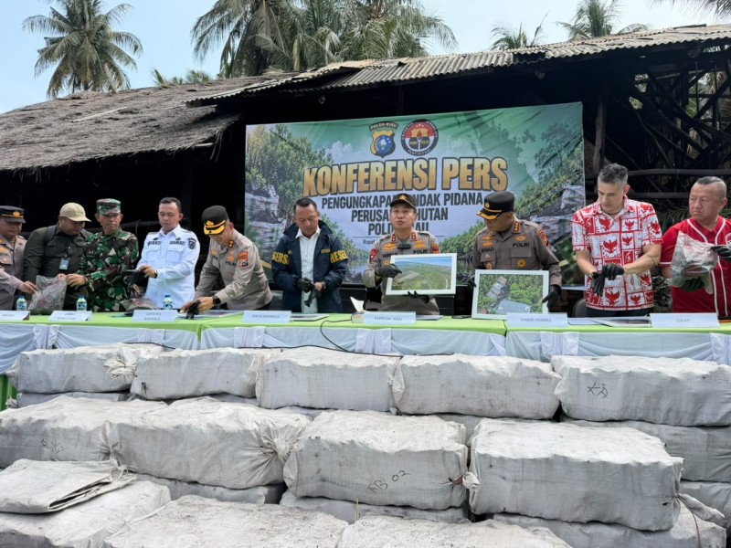Bisnis Arang Mangrove ke Malaysia Terbongkar, Polda Riau Sita 140 Ton