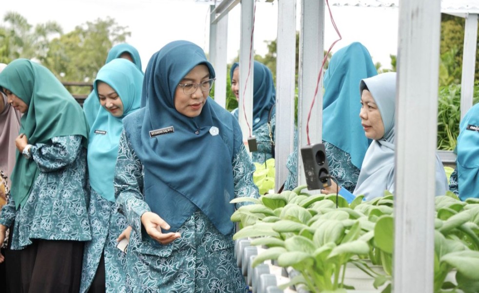 Ketua TP PKK Siak Apresiasi Panen Perdana Rumah Hidroponik KWT Benteng Lestari