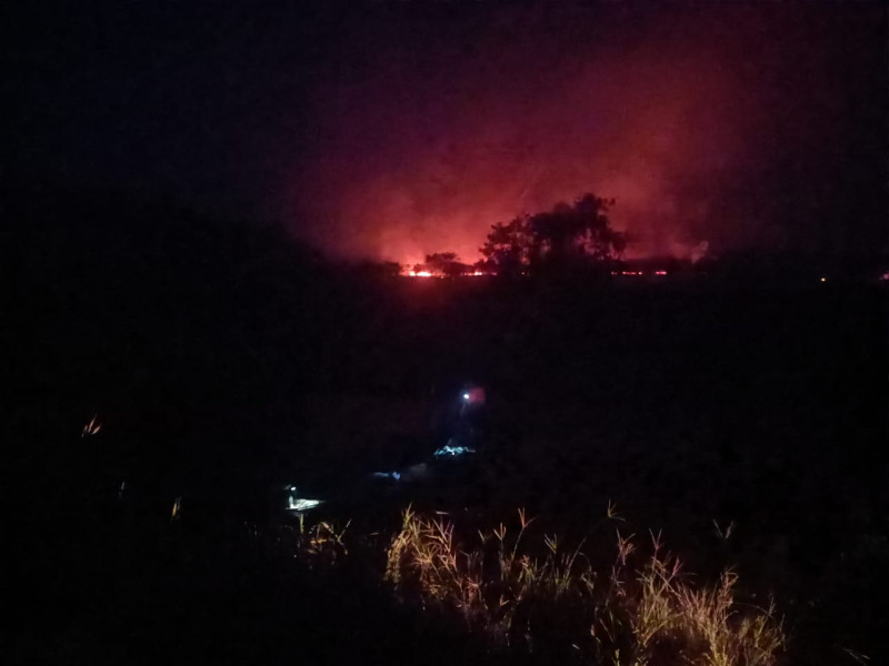 Karhutla Membara di Jalan Koridor PT RAPP, Begini Penjelasan Humas