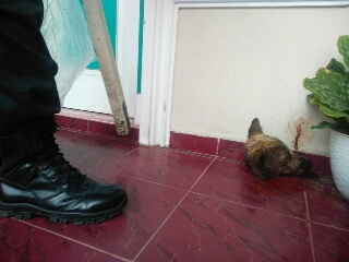 Polisi Kembali Tangkap Satu Pelaku Teror Rumah Pejabat Kejati Riau, Sisanya Sedang Diburu