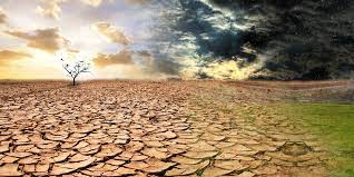 Tahun Ini, BMKG Prediksi Musim Kemarau Datang Lebih Awal, di Riau Mulai Juni