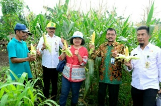 Pemkab Inhil Jalin Kerjasama Dengan BPPT dan PT RSUP Pulau Burung untuk Pengelolaan Limbah