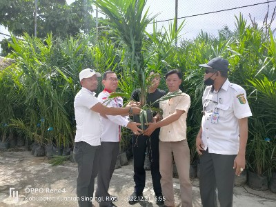 Bantu Petani Sawit, Plt Bupati Serahkan Bantuan Bibit