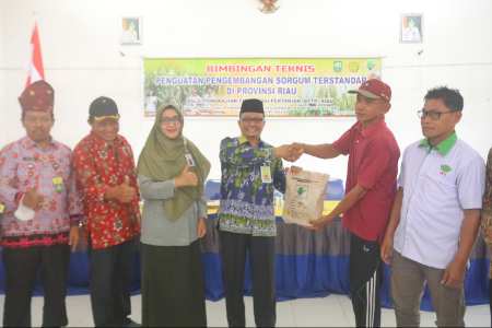 Sekda Arfan Berharap Komoditas Sorgum Bisa Berkembang di Kabupaten Siak