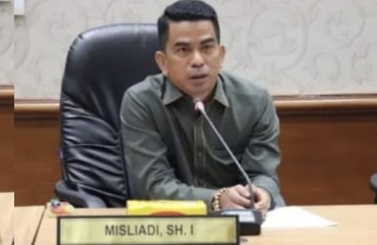 Banjir Rob Rendam Desa di Kepulauan Meranti, DPRD Riau Minta Pemprov Riau Bangun Tanggul
