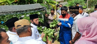 Proklim Sukses Teregistrasi, Desa Pematang Tinggi Binaan PHE Kampar Dikunjungi Wabup Pelalawan