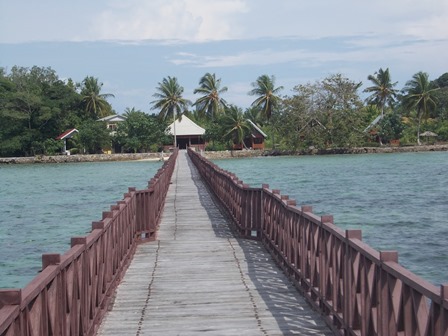 Objek Wisata Pohon Seribu di Nagari Sasak Terus Berbenah