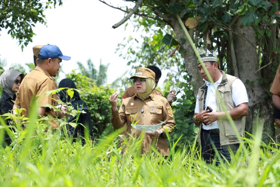 Optimalkan Aset Pemkab, Bupati Siak Tinjau Lahan di Bungaraya