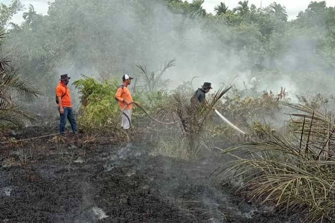Sepanjang Juli 2025, Polda Riau Ungkap 23 Kasus Karhutla