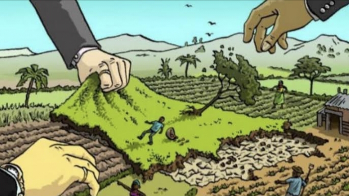 Berkedok Lahan Perhutanan Sosial, Ratusan Warga Siak Diduga Jadi Korban Mafia Tanah
