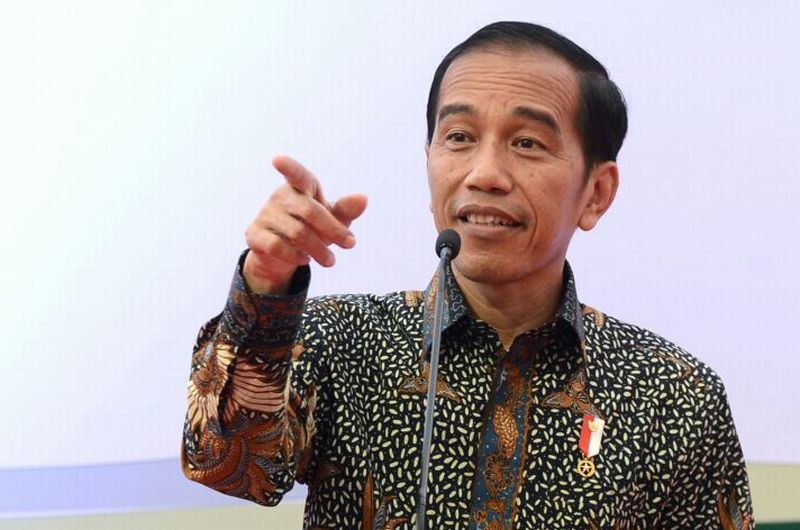 Presiden Jokowi Punya Waktu Dua Bulan Tunjuk Kepala Otorita IKN