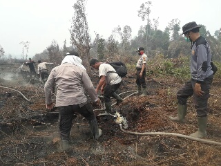 Puluhan Anggota Polres Inhu Berjibaku Padamkan Api Secara Bergantian 