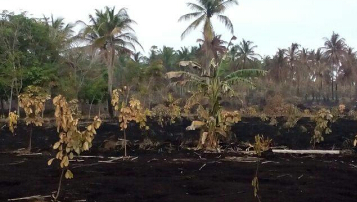 BPBD Meranti Himbau Warga Segera Melapor Bila Ada Titik Api