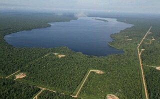 Bupati Alfedri Dukung Promosi Taman Nasional Zamrud Lewat Lomba Karya Jurnalistik
