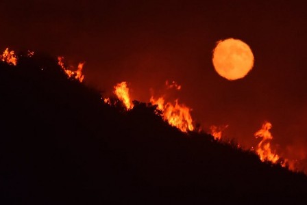 Kebakaran Hutan California Terus Meluas, Ratusan Warga Terancam 