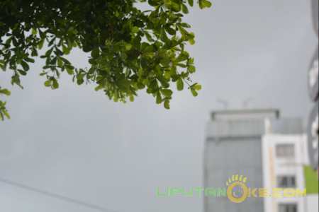 Kabar BMKG untuk Riau: Berpotensi Hujan Petir & Angin Kencang, Dua Daerah Ini Sebaiknya Waspada! 