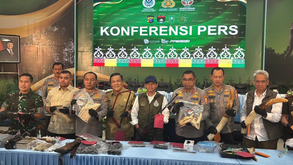 Menhut  Kecam Perburuan Gajah, 15 Pelaku Terancam 15 Tahun Penjara