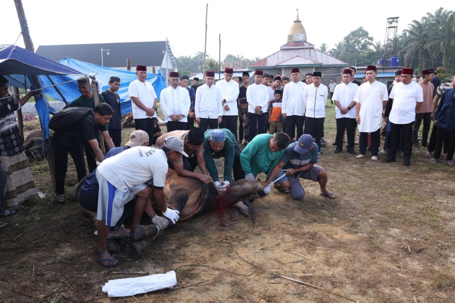 Kapolri dan Kapolda Riau Salurkan Hewan Kurban di Ponpes UAS, Daging Dibagikan ke Warga Pinggiran