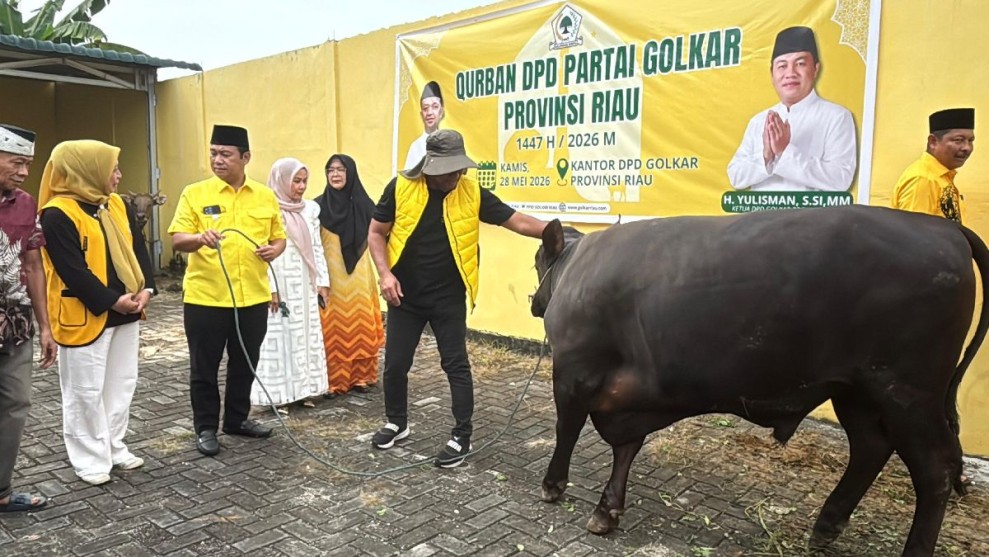 DPD Partai Golkar Riau Gelar Pemotongan Hewan Kurban di Hari Kedua Idul Adha 1447 H