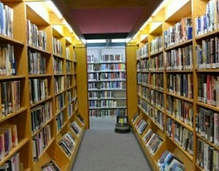 Melalui CSR, Perusahaan Diharap Turut Bersama Perhatikan Perpustakaan