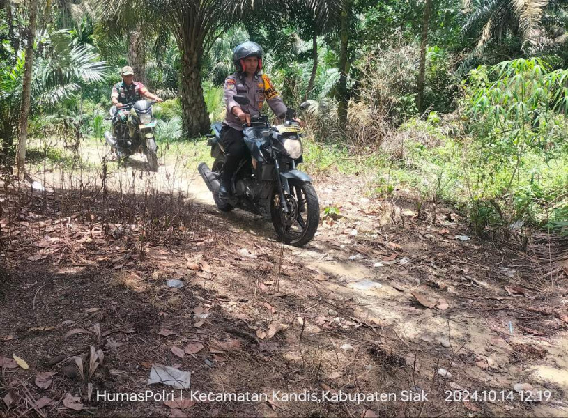 Lintasi Jalan Hutan, Polsek Kandis Lakukan Pengecekan TPS di Desa Terpencil