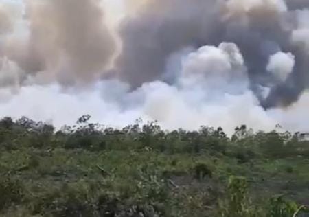 Pemudik Keluhkan Asap Karhutla di Rohil, Jarak Pandang Sangat Terbatas