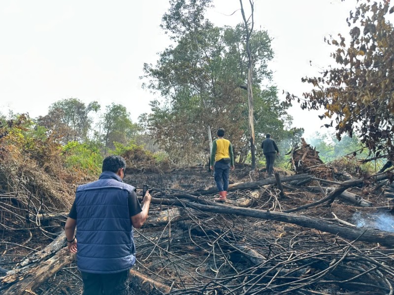Ribuan Hektare Lahan Terbakar, WALHI Riau Temukan Ratusan Hotspot di Konsesi Korporasi