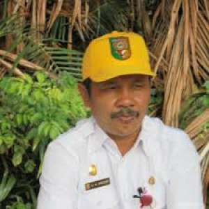 Petani Kuansing Akan Terima Ratusan Ribu Bibit Sawit Unggulan