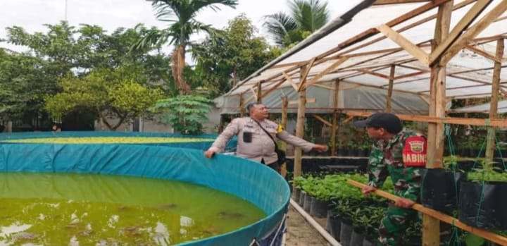 Sinergi TNI-Polri dalam Mendukung Ketahanan Pangan di Kabupaten Tualang