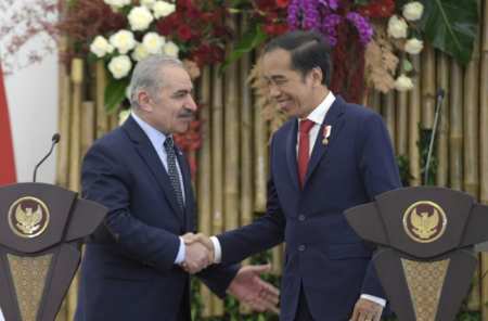 Presiden Jokowi Komitmen Dukung Perjuangan Palestina