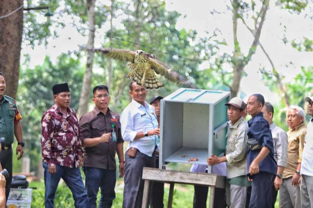 KSDA Riau Lepasliarkan Sejumlah Satwa ke Alam Liar