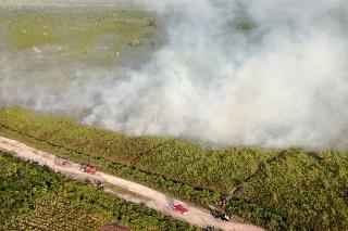 Lahan Gambut Milik Warga Bengkalis Terbakar, Tim Gabungan Berusaha Jinakkan Api