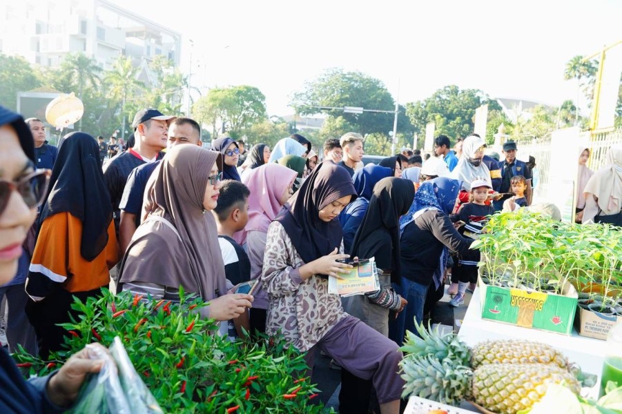 TP PKK Riau Bagikan Bibit Cabai Gratis di CFD, Henny Sasmita Wahid: Tanaman Pangan Berpotensi Hasilkan Uang