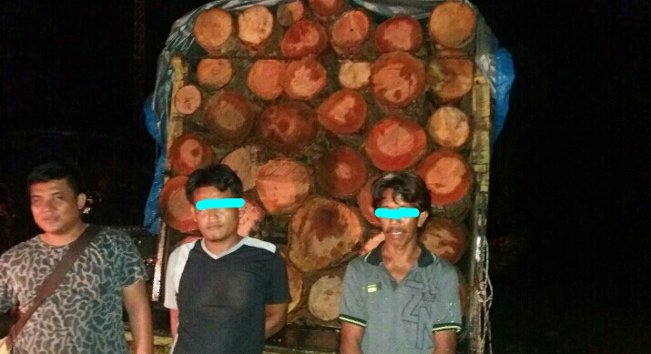 Bawa Kayu Illegal Loging, Warga Kampar Ditangkap Polisi