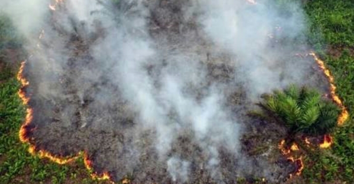 Satgas Karhutla Kewalahan, Kebakaran Terus Meluas