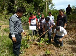 Ribuan Bibit Pohon Ditanam di Hutan Lindung Sentajo Raya