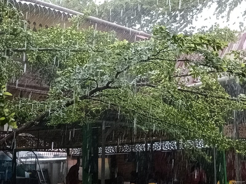 Hari Ini, Sejumlah Daerah di Riau Berpotensi Diguyur Hujan Deras