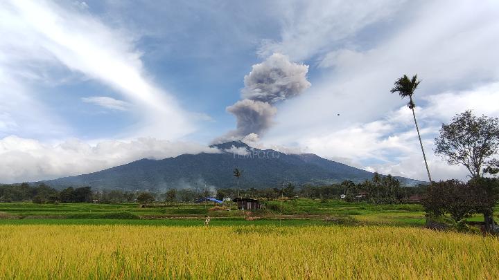 Gunung Marapi Erupsi Lagi, Muntahkan Abu Setinggi 1000 Meter, Ini Imbauan Untuk Warga dan Pendaki