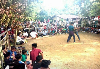 Silat Pendekar Batuah Meriahkan Acara Adat Ke Rumah Godang Kenegerian Sentajo