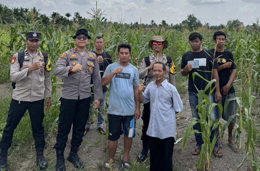 Kapolsek Tembilahan Pantau Kebun Jagung, Dorong Swasembada Pangan di Inhil