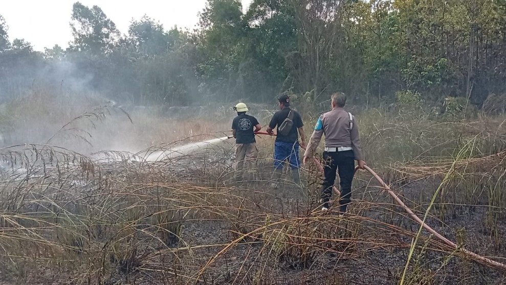 Semak Belukar Depan Mall SKA Pekanbaru Terbakar, Penyebab Belum Diketahui