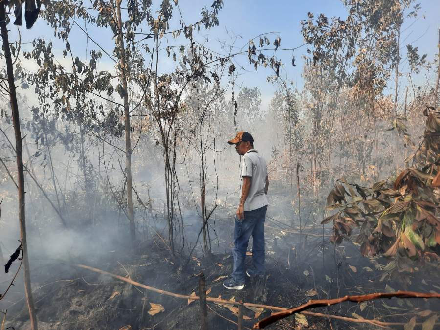 34 Orang Jadi Tersangka Kasus Karhutla, Terbanyak di Kabupaten Rohil Riau