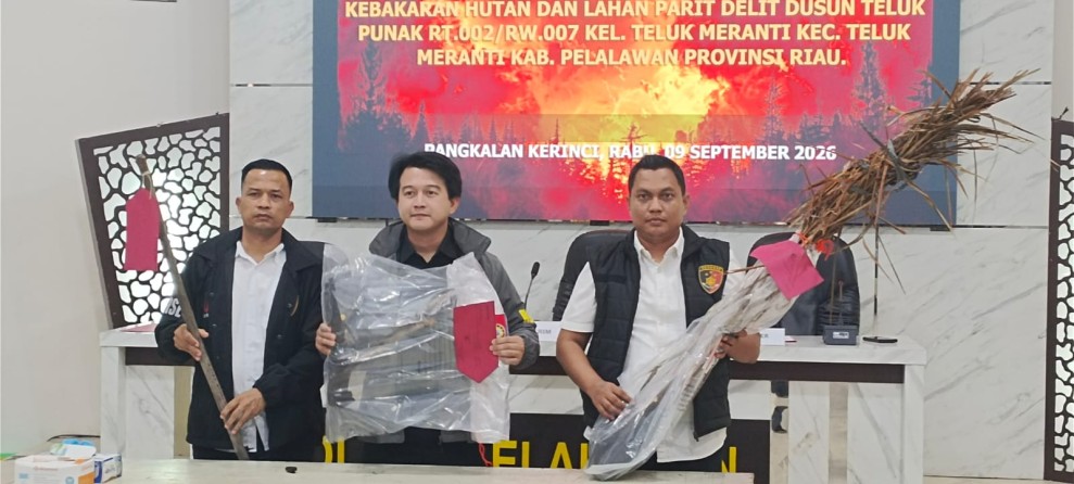 Buka Lahan dengan Cara Dibakar, 3 Warga Teluk Meranti Ditangkap Polisi