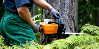 Diduga Membuka Lahan Perkebunan Tanpa Izin, Gakkum KLHK akan Tindak PT SS di Inhu