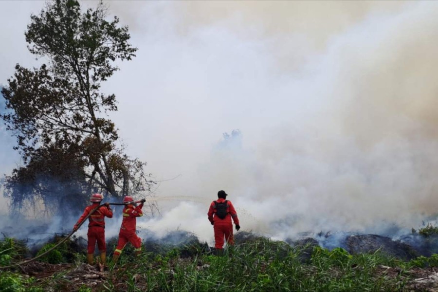 Semai 10 Ton Garam, Karhutla di Riau Berhasil Dikendalikan