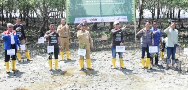 Upaya Cegah Abrasi di Bengkalis, Bupati Buka Talk Show Lingkungan dan Penanaman Mangrove 3000 Batang