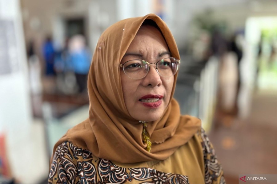Guru Besar UI Apresiasi Capaian Prabowo-Gibran, Dorong Penguatan Kelas Menengah